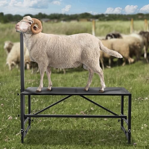VEVOR Sturdy Sheep Stand - 51x23 inch Metal Livestock Trimming Stand, Adjustable Height 21" to 33", with Headpiece and Nose Loop, 500lbs Capacity, Ideal for Goats and Lambs, Black