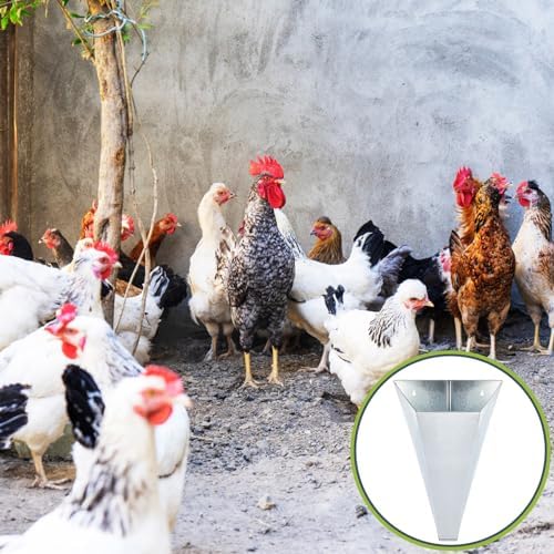 Mumufy 4 Pcs Medium Galvanized Steel Poultry Restraining Cones Flat Back Funnel Cone, up to 10 Pounds, Chicken Killing Cone for Butchering Chicken Birds Turkeys, Easy to Clean