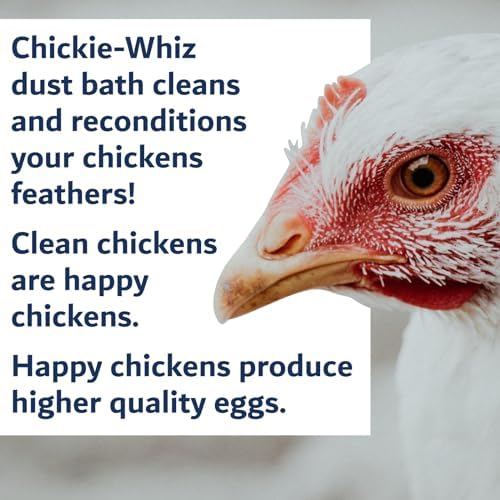5.5lb Chickie Whiz Dust Bath, Natural Dust Bath for Chickens for Healthier Chicken Eggs, Poultry Care for Other Small Pet Animal for Chicken Coop, Hen House & Farms by Billy Buckskin Co.