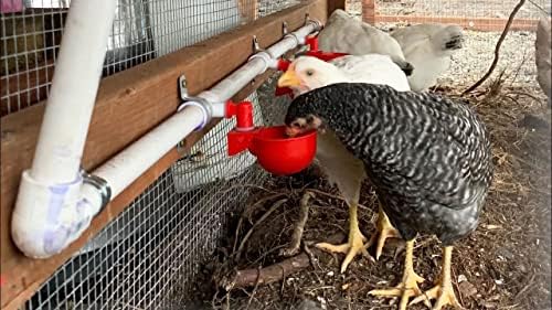 Chicken Water Cups for PVC with Tee (12 Pack), Automatic Chicken Waterer Kit for Poultry, DIY PVC Water Feeder for Chicken/Duck/Quail/Turkey