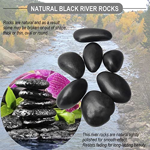 Black River Rocks - Large Polished Black Pebbles for Plants & Garden Decorative Stones, 1-2 Inch, 15 Pound