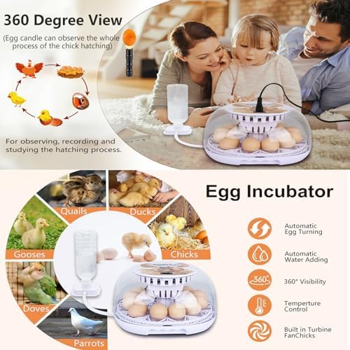 Incubators for Hatching Eggs, 12 Egg Incubator with Automatic Egg Turning and Temperature Control, Automatic Water Adding, LED Egg Candler, for Hatching Duck, Quail, Goose Eggs (White)