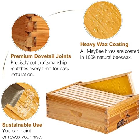 10-Frame Beehive Box Langstroth Medium Super Bee Box for Sale Wax Coated Bee Hives Includes Wooden Frames & Waxed Foundations (Unassembled)