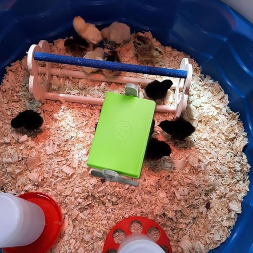 Chick Brooder (12"x8") Brooder Heater for Chicks Ducks and Birds Incubation Heating Keep Chicks Warm Newly Upgraded Temperature Adjustable Height Adjustable Chick Heating Plate - Green