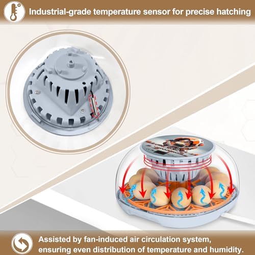 Smart Chicken Incubators for Hatching Eggs with Automatic Turner Small Poultry Duck Quail 12 Egg Incubator Temperature Control Display Hatcher Machine (Mechachick, ℉)