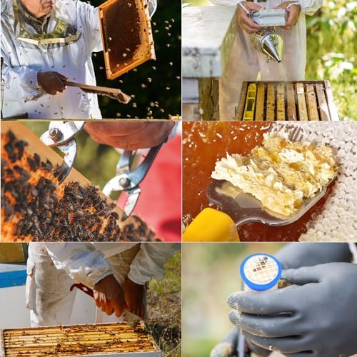 Blisstime 12pcs Bee Hives Starter Kit Beekeeping Supplies, Bee Keeping Supplies-All, Bee Supplies and Equipment with Bee Smoker, Honey Bee Hive Tools for Beginners and Bee Keeper