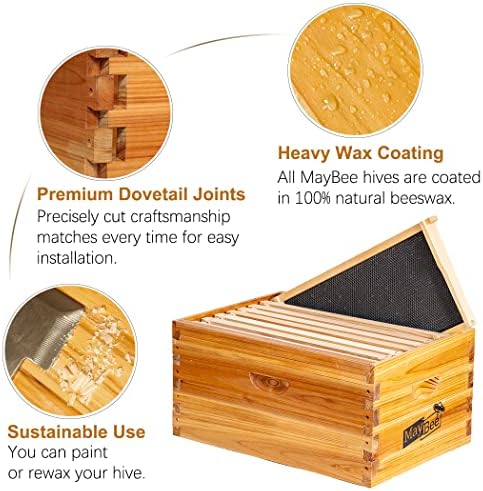 10-Frame Beehive Box Langstroth Deep Brood Box Dipped in 100% Beeswax Includes Wooden Frames & Waxed Foundations (Unassembled)