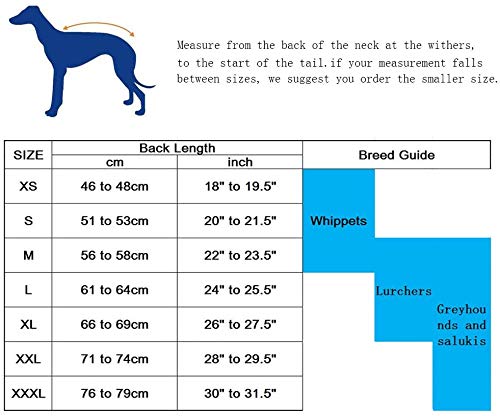 Greyhound Winter Coat, Whippet Coat with Padded Fleece Lining, Water Resistant Dog Jacket with Adjustable Bands and Reflective - Navy - XSmall
