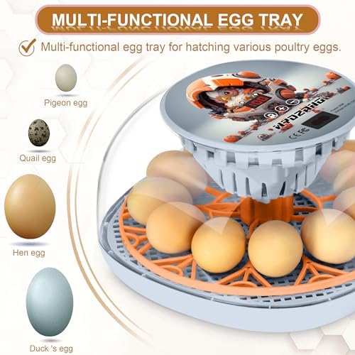 Smart Chicken Incubators for Hatching Eggs with Automatic Turner Small Poultry Duck Quail 12 Egg Incubator Temperature Control Display Hatcher Machine (Mechachick, ℉)