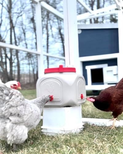 OverEZ Compact Chicken Waterer with No Spill System, Outside and Inside Poultry Drinker, 5 Gallon High Capacity Waterer Dispenser for Hens