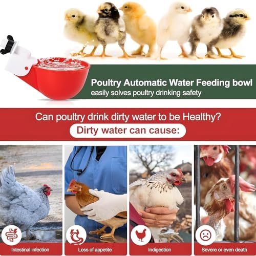 20 Pack Chicken Waterer Cups 3/8 Inch Large Automatic Chicken Water Feeder for Poultry Water Feeder Kit Chick Waterer with Mounting Hole Opener, Suitable for Ducks, Turkeys, Etc