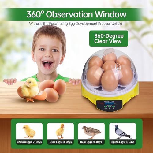 7-Egg Incubator 360° View Poultry Incubator with Manual Temperature Control for Hatching Chicken, Duck, Goose, Parrot, and Quail Eggs