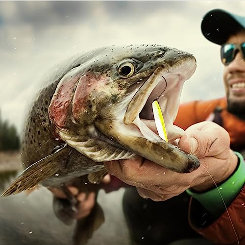 LURESMEOW Paddle Tail Swimbaits,Soft Plastic Fishing Lures Swim Baits for Bass Fishing,30/50/100pcs with Box,Soft Plastic Swimbaits for Bass Trout Crappie Lures Kit for Saltwater Freshwater
