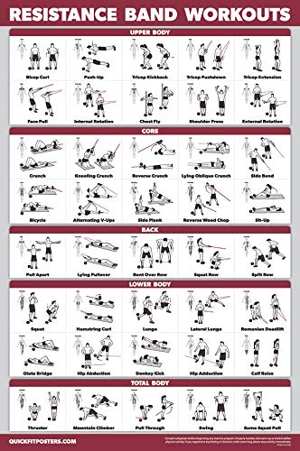 Palace Learning 4 Pack - Dumbbell Workouts + Bodyweight Exercises + Resistance Bands Workouts + Warm Up Exercises - Set of 4 Workout Charts (LAMINATED, 18” x 24”)