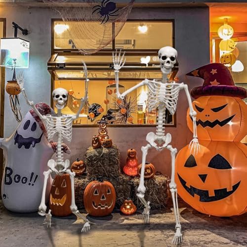 DINESIL 6Ft/185cm Halloween Skeleton, Life Size Skeleton Halloween Realistic Full Body Bones with Movable Joints for Party Haunted House Indoor Outdoor Decoration