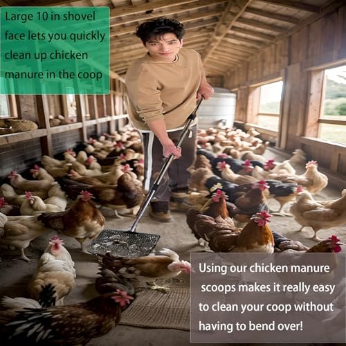 10 in Extra Large Chicken Poop Scooper,4-in-1 Stainless Steel Handle, Adjustablechicken Poop Scooper, Suitable for Chicken Coop Cleaning Cat Litter Other Heavy Duty Poop Scoop(Extra Large)