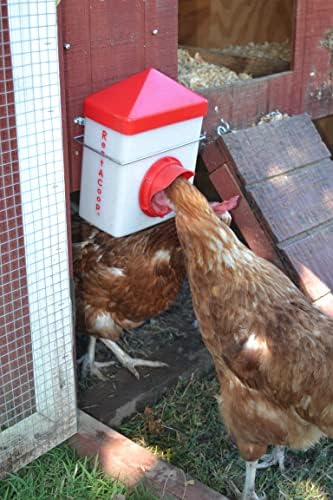RentACoop Chick2Chicken 2.5lb BPA-Free Single-Port Feeder - Includes Anti-Roost Lid, Slider Port Cover, and Wire Bracket - Suitable for Quail, Pigeons, Doves, Chicks, and Adult Chickens