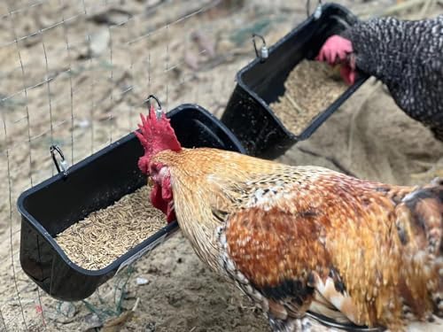3 Pack Duck Chicken Poultry Hanging Fence Feeder | 8 Quarts in Total | Black|A Free Feed Scoop Included