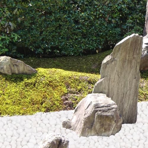 15 lbs White Rocks for Plants Indoor, 1-3 inch Decorative Garden Stone Outdoor Landscaping, Walkways, Yard, Large Polished River Rocks for Plants Pots, Vases, Crafts