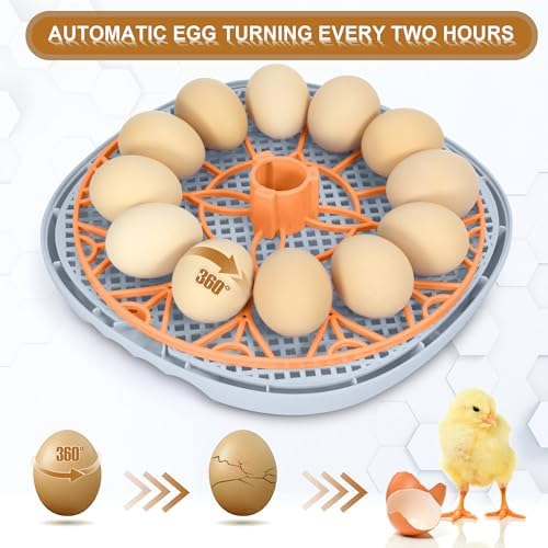 Smart Chicken Incubators for Hatching Eggs with Automatic Turner Small Poultry Duck Quail 12 Egg Incubator Temperature Control Display Hatcher Machine (Mechachick, ℉)