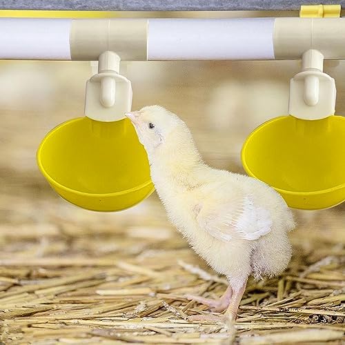 Complete Set Pipeline Automatic Chicken Watering System, 1/2" PVC Tee Fittings & PVC Pipe & Garden Hose, Chicken Water Cups, Poultry Waterer, Automatic Chicken Waterer, Chicken Nipple Waterer