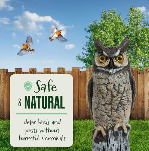 Dalen Large Fake Owl Decoy to Scare Birds Away - Garden Scarecrow Provides Natural Pest Control - 16" Tall - Great Horned Owl