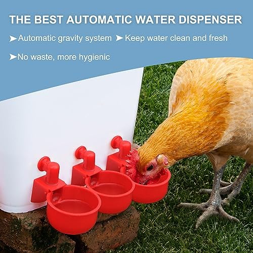 Chicken Feeder No Waste Automatic Poultry Feeder Ports Chicken Feeders and Waterer Set Chicken Feeder Kit 8 Chicken Water Cups with 8 auto Chicken Feeders Ports