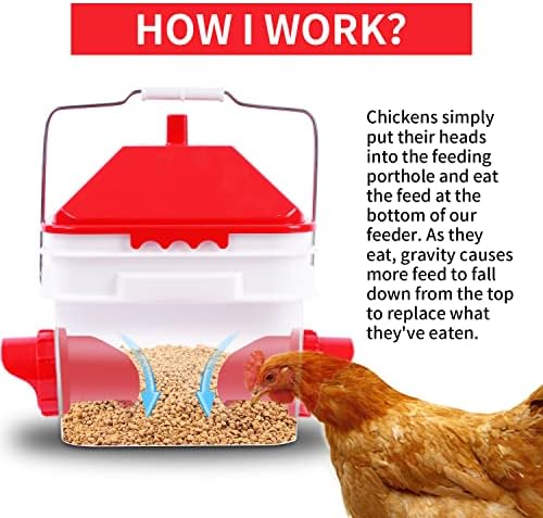 10 Pounds Chicken Feeder with 4 Ports, Rainproof Poultry Feeder for Up to 10 Adult Chickens or 15 Chicks (Patented Products)