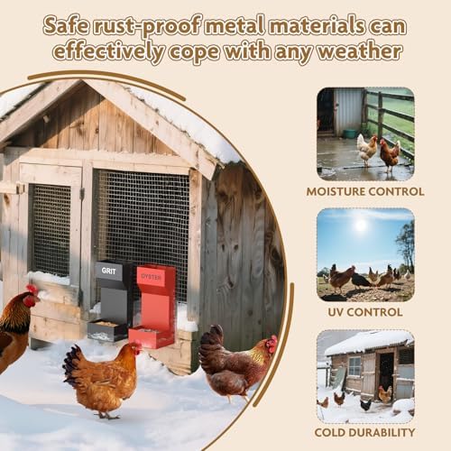 Chicken Oyster Shell Feeder and Grit Feeder,Metal Chicken Feeder,Chicken Coop Accessories,Design for Healthier Hens & Eggs