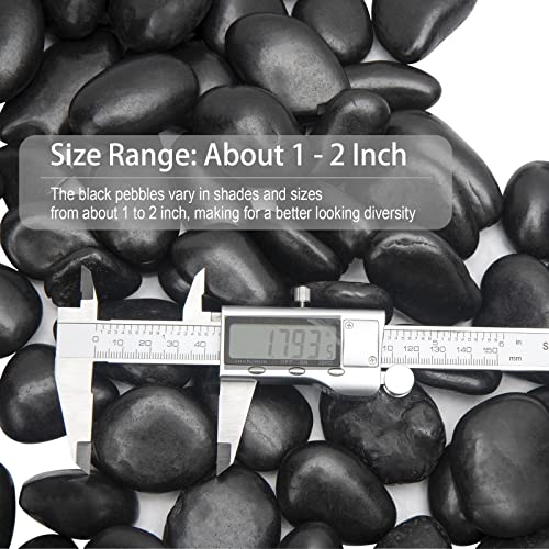Black River Rocks - Large Polished Black Pebbles for Plants & Garden Decorative Stones, 1-2 Inch, 15 Pound