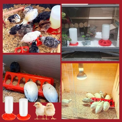 TINSKY 5 Pack Chick Feeder and Waterer Set Plastic Baby Chicken Brooder Starter Kit with Chick Perch for Small Poultry Ducks Quail