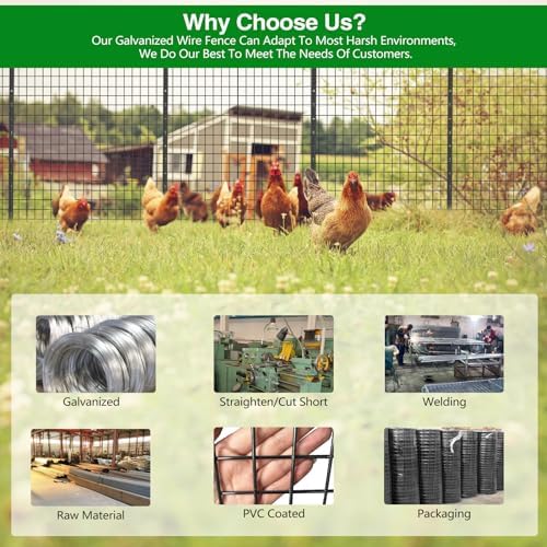 Wire Fence, 36 in(H) X 50 ft(L) PVC Coated Welded Wire Fencing 2" X 2" 16GA Garden Border Vinyl Metal Chicken Wire Fencing Mesh Roll for Yard Vegetable Plant Protection Poultry Netting Black
