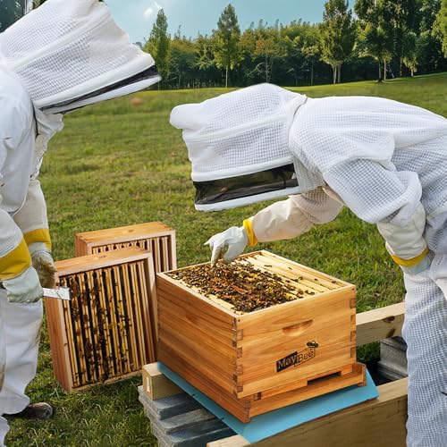 10-Frame Langstroth Beehive Dipped in 100% Beeswax, Complete Bee Hives and Supplies Starter Kit Includes 2 Deep Hive Bee Boxes and 1 Bee Hive Super with Beehive Frames and Foundations