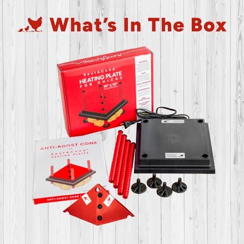 RentACoop 10x10 Inch Adjustable Heating Plate with Bonus Foldable Anti-Roost Cone for up to 15 Chicks | Small Chick Brooder Heat Plate – Energy-Efficient and Safer Than Heat Lamps