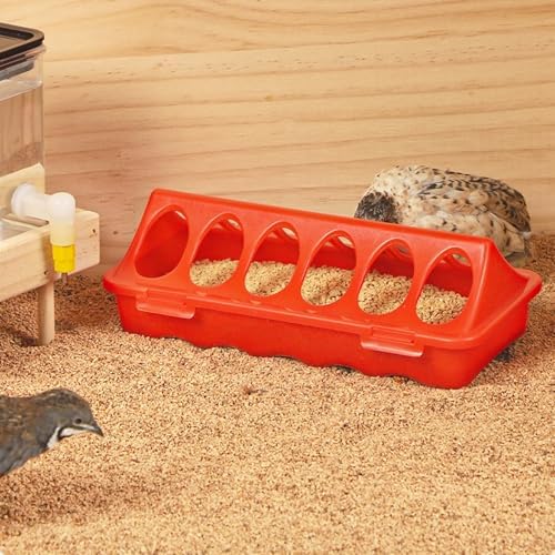TINSKY 5 Pack Chick Feeder and Waterer Set Plastic Baby Chicken Brooder Starter Kit with Chick Perch for Small Poultry Ducks Quail