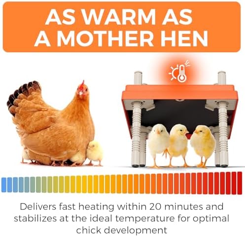 10" x 10" Chick Brooder Heating Plate with Adjustable Temperature and Height, Holds 15 Young Chickens