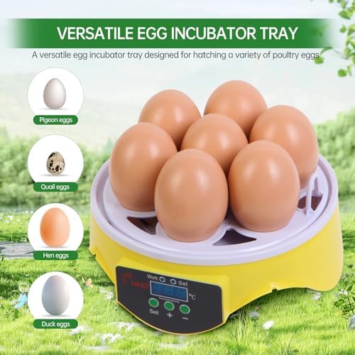 7-Egg Incubator 360° View Poultry Incubator with Manual Temperature Control for Hatching Chicken, Duck, Goose, Parrot, and Quail Eggs