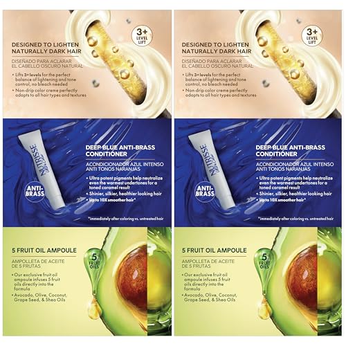 Garnier Nutrisse Ultra Color Nourishing Bold Permanent Hair Color Creme, LC2 Hi-Lift Dark Blonde (Coconut Flan), Pack of 2, Hair Dye Kit for 8 Weeks of Bold Hair Color Even on Dark Bases