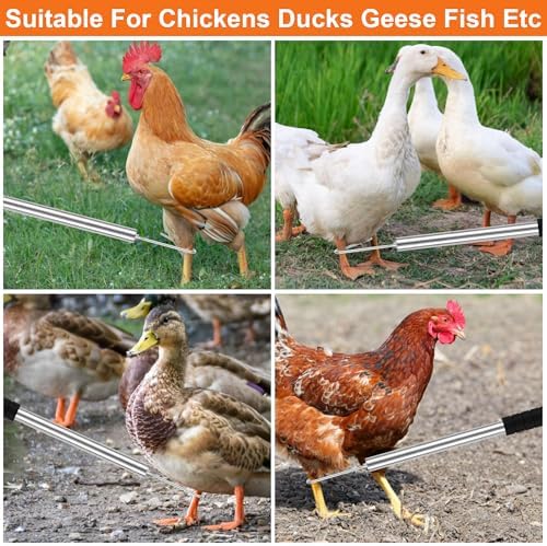 Erweicet Chicken Catcher, Chicken Leg Hook Coop Accessories 33" to 75" Inch Chicken Catcher Net for Catching Chickens Ducks Goose Birds