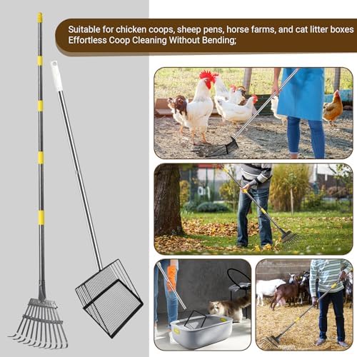 2pcs adjustable heavy 10 inch wide shovel area of chicken scooper for poop(36.6-61.8"long)and 11 tooth chicken coop rake(36.7-73"long). Suit for cleaning chicken coops, racecourses, and sheep pens