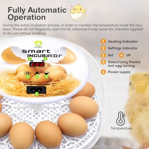 Incubators for Hatching Eggs, 12 Egg Incubator with Automatic Egg Turning and Temperature Control, Automatic Water Adding, LED Egg Candler, for Hatching Duck, Quail, Goose Eggs (White)
