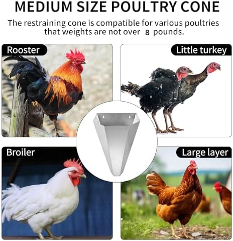 Medium Size Chicken Cone Galvanized Steel Poultry Restraining Cone for Chicken,for Large Layers, Broilers, Roasters, Turkeys Up to 8 Pounds Flat-Back Poultry Killing Cone Easy to Clean