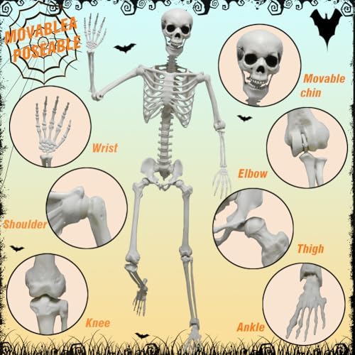 DINESIL 6Ft/185cm Halloween Skeleton, Life Size Skeleton Halloween Realistic Full Body Bones with Movable Joints for Party Haunted House Indoor Outdoor Decoration