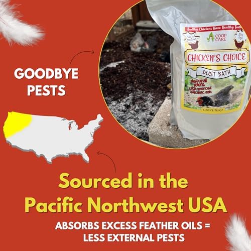 Chicken's Choice Chicken Dust Bath, 6 lb Natural Volcanic Ash Dust Bath for Chickens. Dust Mix for Healthy Chickens, Chinchillas, Small Animals. Made in The USA. Coop Accessories (1, Volcanic Ash)