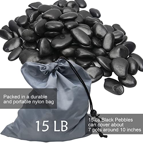 Black River Rocks - Large Polished Black Pebbles for Plants & Garden Decorative Stones, 1-2 Inch, 15 Pound