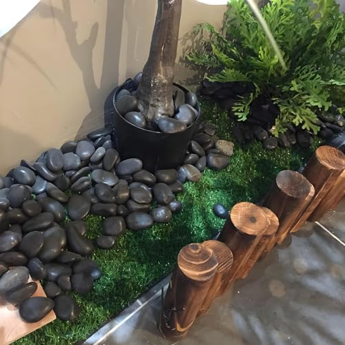 5 Pounds Black Natural Decorative River Pebbles – 2-3 Inch Black Polished Decorative Pebbles for Garden Landscaping, Home Décor, Outdoor Paving River Rocks, Rocks for Painting