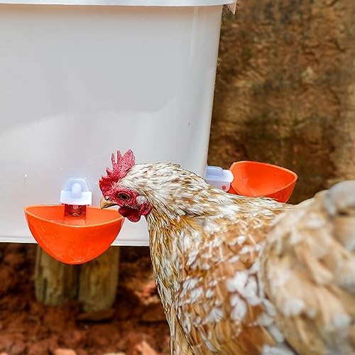 Large Automatic Chicken Feeder and Waterer Set Hanging Chicken Water Feeder Poultry Feed Bucket