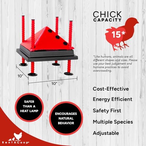 RentACoop 10x10 Inch Adjustable Heating Plate with Bonus Foldable Anti-Roost Cone for up to 15 Chicks | Small Chick Brooder Heat Plate – Energy-Efficient and Safer Than Heat Lamps