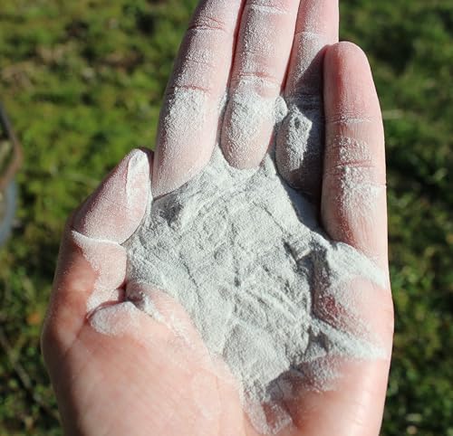 Chicken's Choice Chicken Dust Bath, 6 lb Natural Volcanic Ash Dust Bath for Chickens. Dust Mix for Healthy Chickens, Chinchillas, Small Animals. Made in The USA. Coop Accessories (1, Volcanic Ash)
