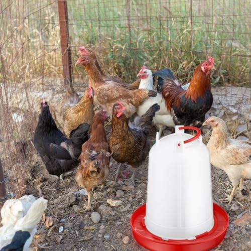 Pickmesh 2 Pcs 2 Gallon Plastic Poultry Drinker Poultry Waterer Automatic Chicken Water Feeder Fed Water Container Jar for Duck Baby Chicks Rabbit Turkeys Outdoor Farm